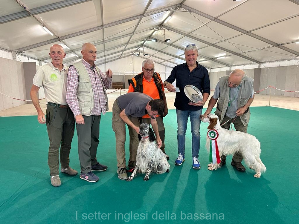 Padre: Galip della Bassana Ch. :: foto ricordo