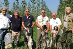 Fox della Bassana :: campione lavoro italiano