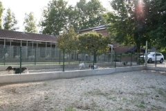 la struttura è dotata di 4 paddock ossia grandi box in parte coperti in parte aperti in cui i giovani soggetti possono crescere muovendosi liberamente ed in modo ideale