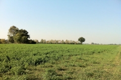 La struttura è dotata di prorpia area di addestramento autorizzata
