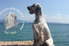 Duke della Bassana :: da lago di Garda